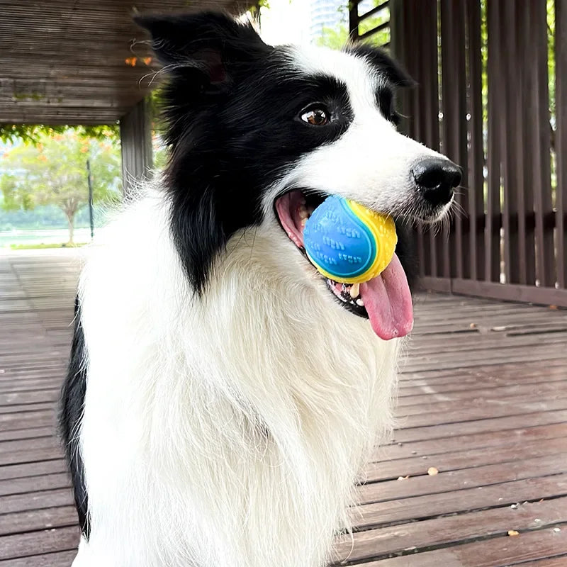 TPR Squeaky Ball – The Ultimate Interactive Chew Toy