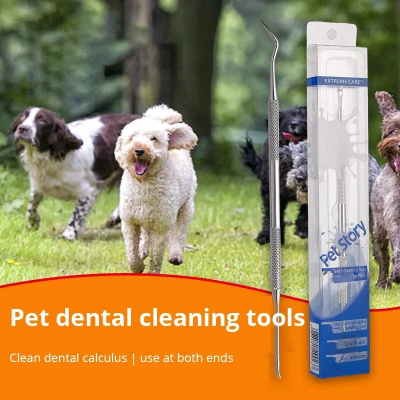 Professional Pet Dental Scraper – Stainless Steel Tartar Remover