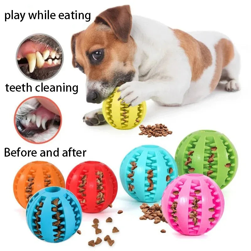 Natural Rubber Chew Ball – The Ultimate Dental Toy for Dogs