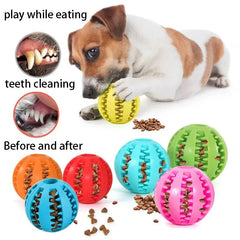 Natural Rubber Chew Ball – The Ultimate Dental Toy for Dogs