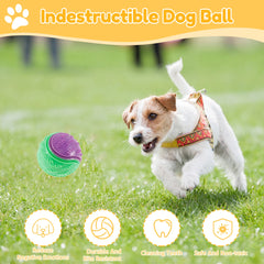 6-Pack Squeaky TPR Balls – Indestructible Fun for Dogs!