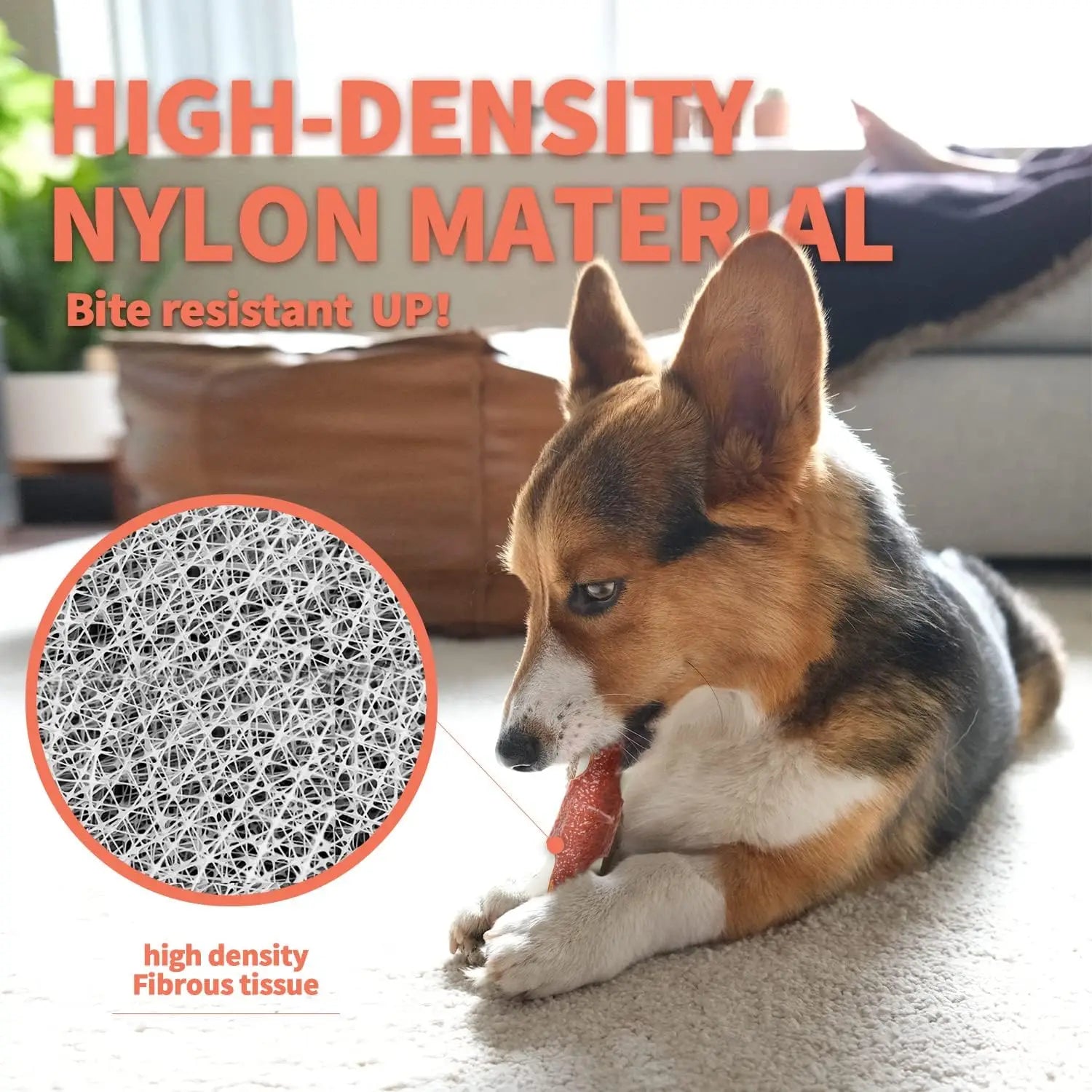 The Last Chew Toy You'll Ever Need – Indestructible Beef Bone for Power Chewers