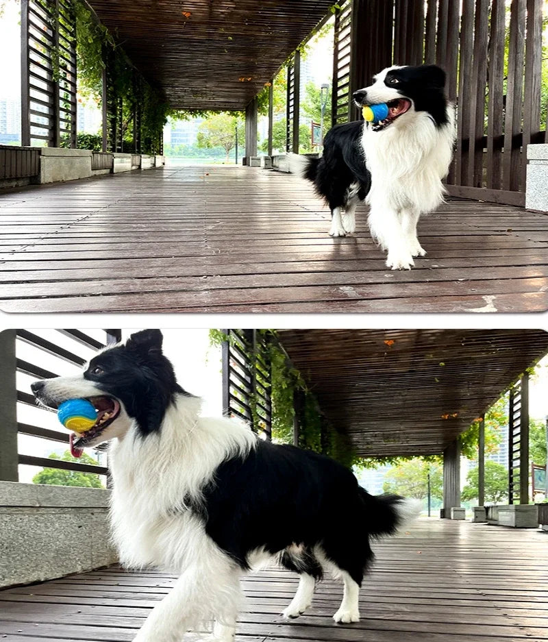TPR Squeaky Ball – The Ultimate Interactive Chew Toy