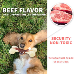 The Last Chew Toy You'll Ever Need – Indestructible Beef Bone for Power Chewers