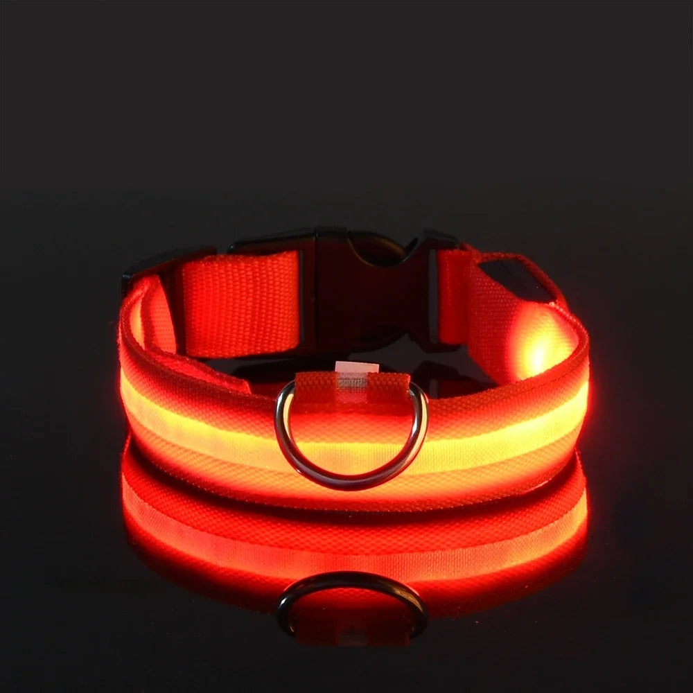 LED Nylon Dog Collar - Keep Your Pup Safe & Seen at Night