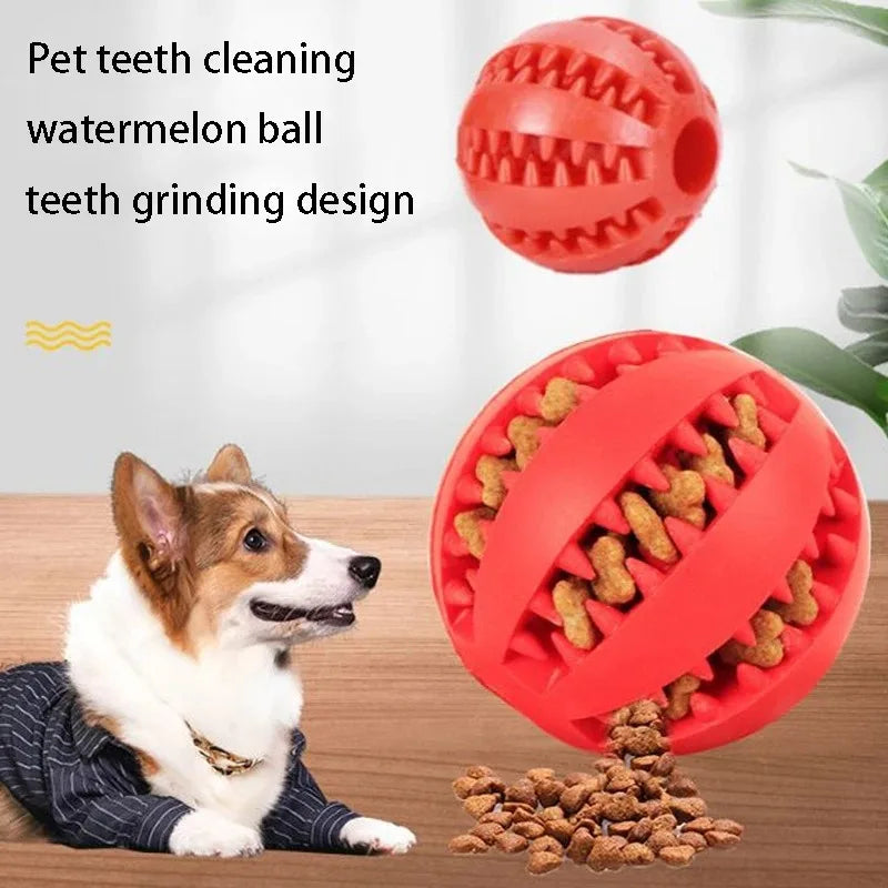 Natural Rubber Chew Ball – The Ultimate Dental Toy for Dogs