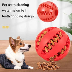 Natural Rubber Chew Ball – The Ultimate Dental Toy for Dogs