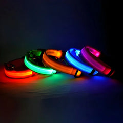 LED Nylon Dog Collar - Keep Your Pup Safe & Seen at Night