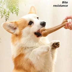Pine Wood Chew Stick – The Natural Dental Toy for Power Chewers!