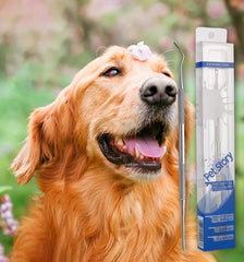 Professional Pet Dental Scraper – Stainless Steel Tartar Remover