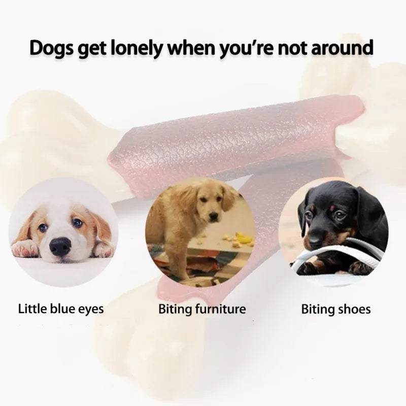 Indestructible Chew Toys for Aggressive Chewers – Real Beef Flavor!