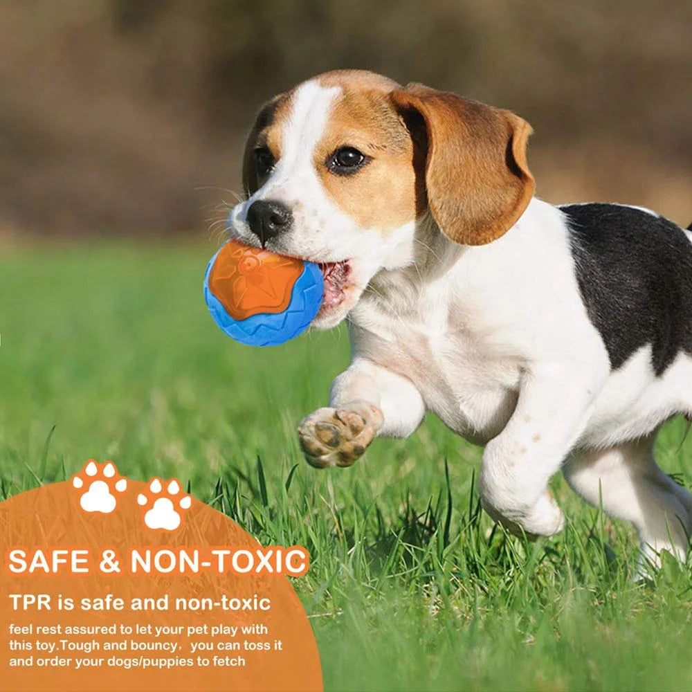 Ultra-Durable Rubber Chew Toy – Bite-Proof & Squeaky Fun!