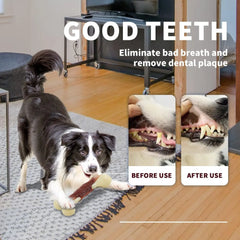 The Last Chew Toy You'll Ever Need – Indestructible Beef Bone for Power Chewers