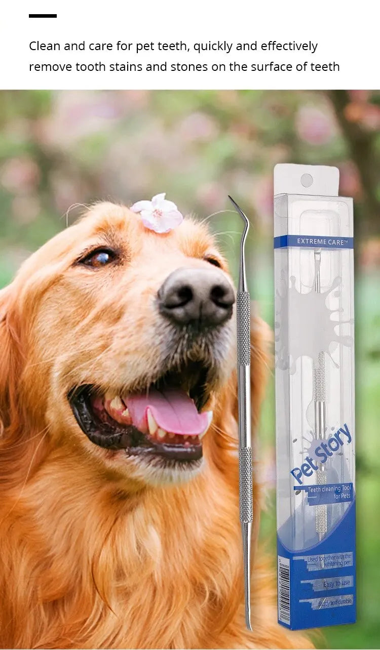 Professional Pet Dental Scraper – Stainless Steel Tartar Remover
