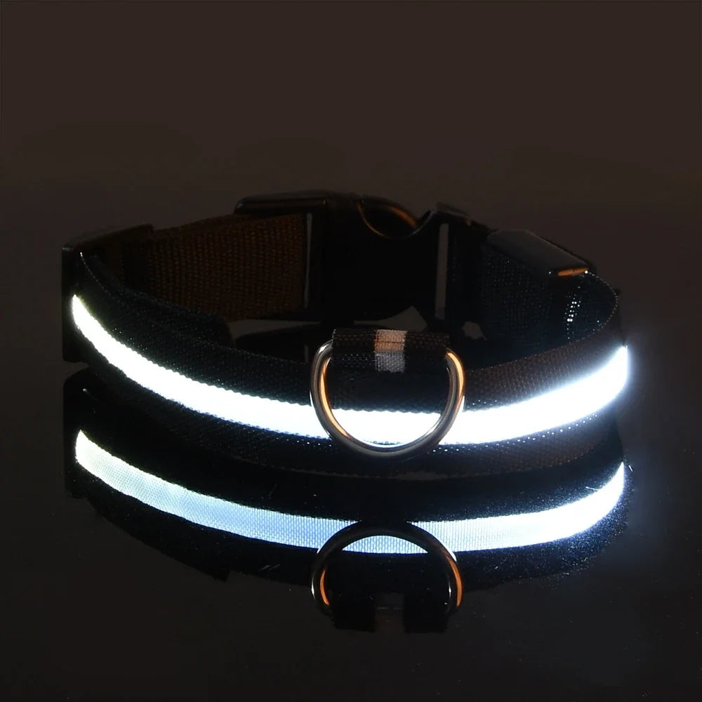 LED Nylon Dog Collar - Keep Your Pup Safe & Seen at Night