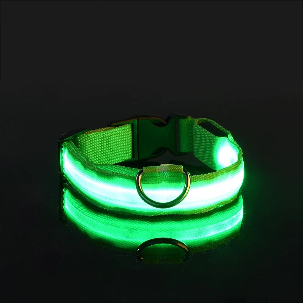 LED Nylon Dog Collar - Keep Your Pup Safe & Seen at Night