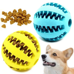 Natural Rubber Chew Ball – The Ultimate Dental Toy for Dogs