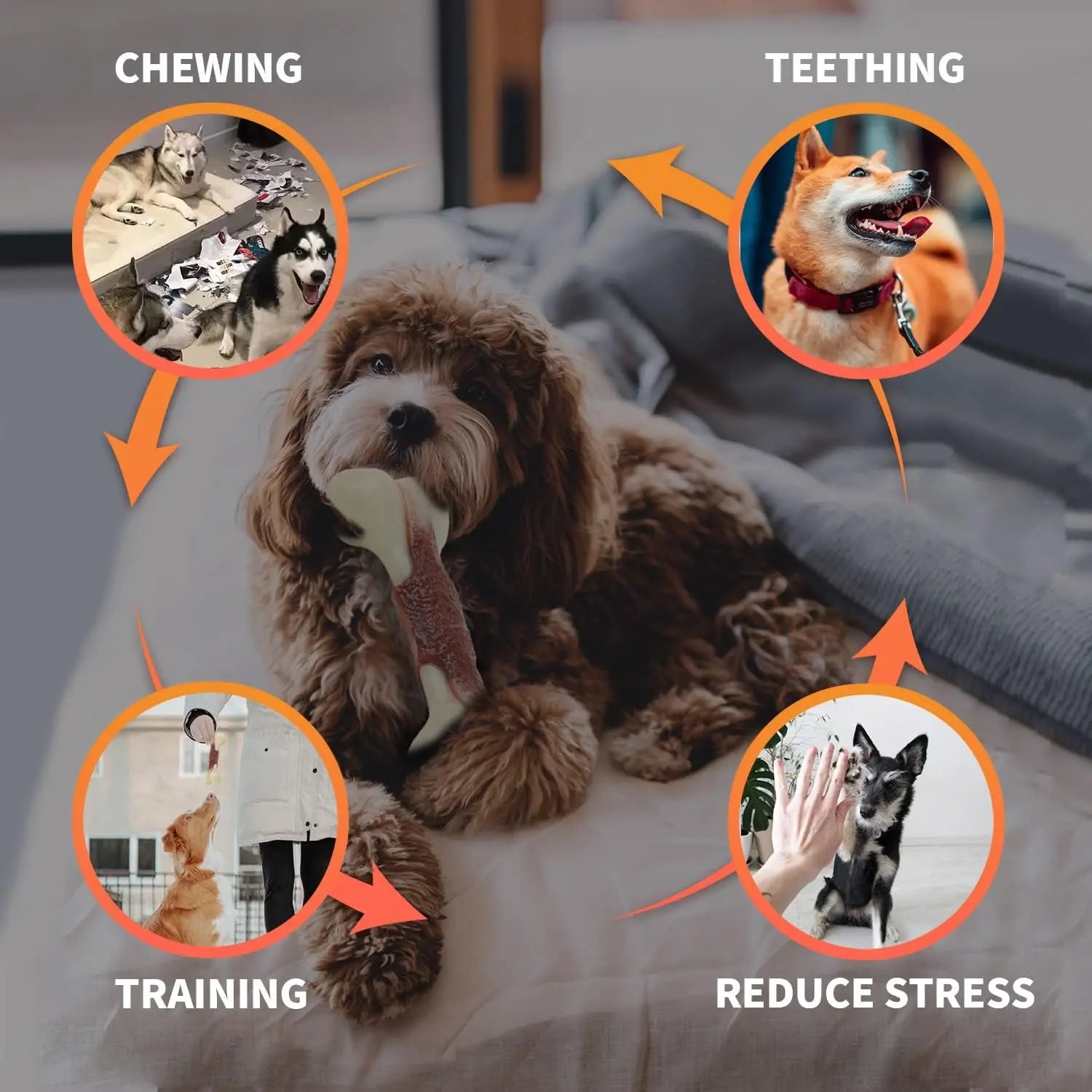 The Last Chew Toy You'll Ever Need – Indestructible Beef Bone for Power Chewers