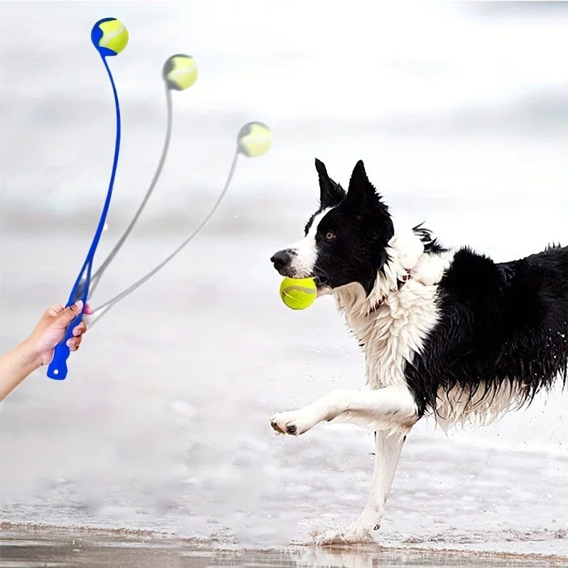 Tennis Ball Launcher Stick – The Ultimate Fetch Companion!