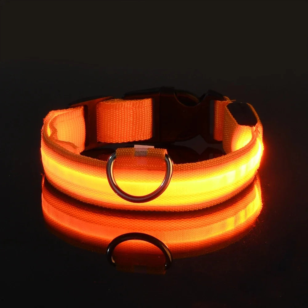 LED Nylon Dog Collar - Keep Your Pup Safe & Seen at Night