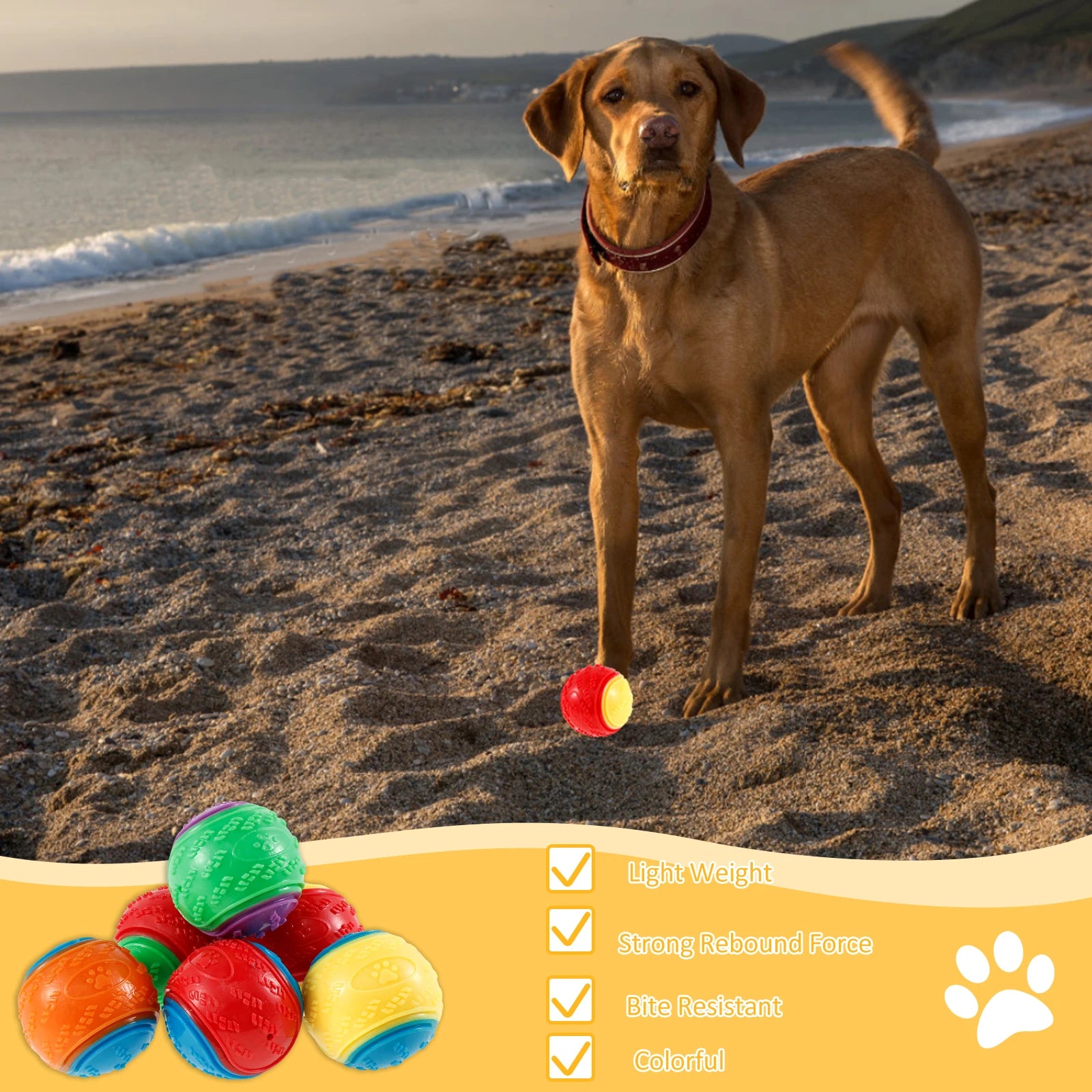 6-Pack Squeaky TPR Balls – Indestructible Fun for Dogs!
