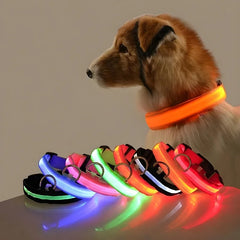 LED Nylon Dog Collar - Keep Your Pup Safe & Seen at Night