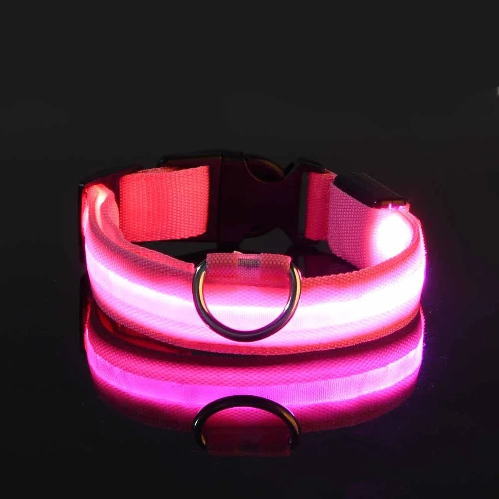 LED Nylon Dog Collar - Keep Your Pup Safe & Seen at Night
