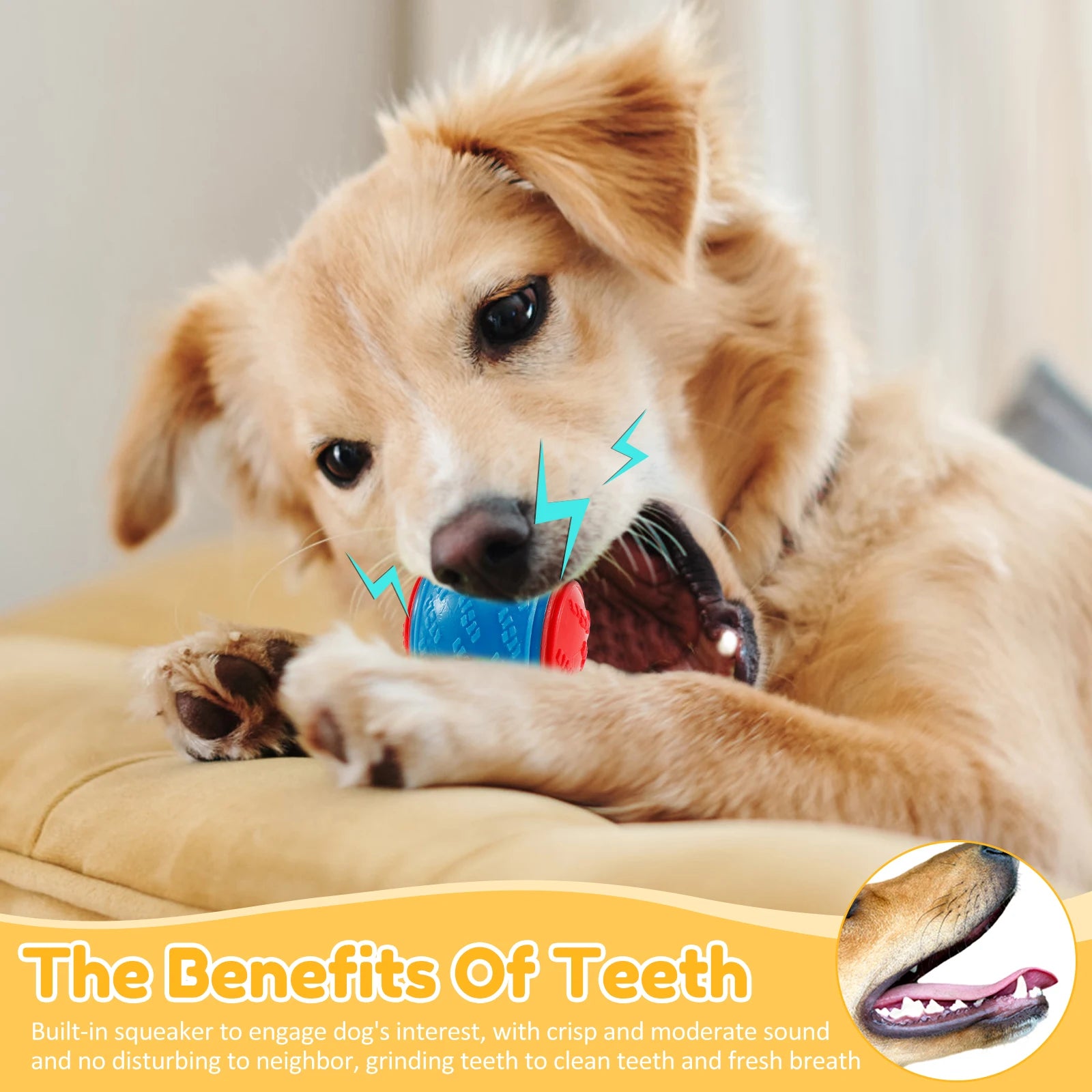 6-Pack Squeaky TPR Balls – Indestructible Fun for Dogs!