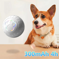 Smart Interactive Dog Ball – Self-Moving, Light-Up Fun!
