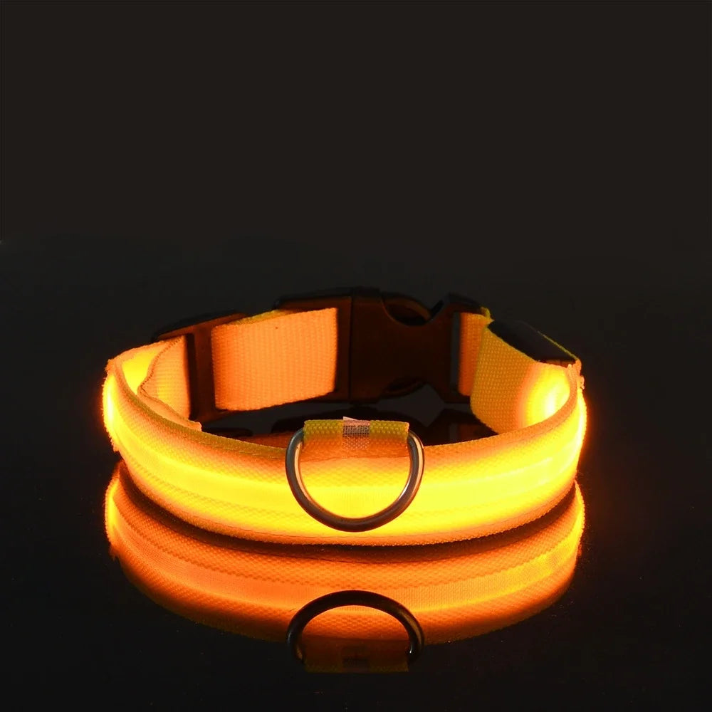 LED Nylon Dog Collar - Keep Your Pup Safe & Seen at Night