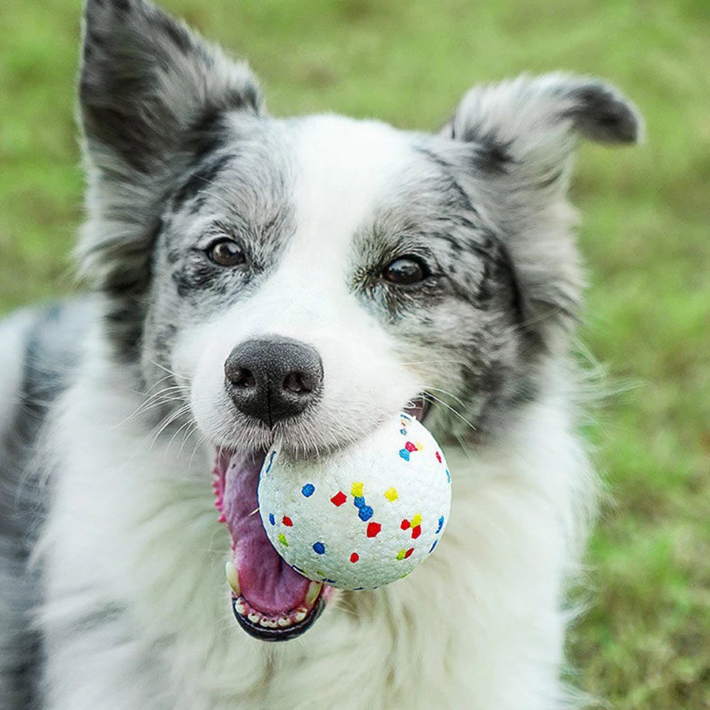 Automatic Ball Launcher for Dogs – The Smart Fetch Machine