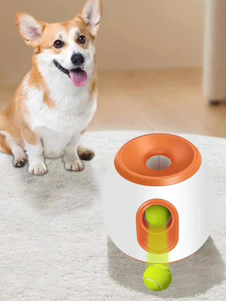 Automatic Ball Launcher for Dogs – The Smart Fetch Machine
